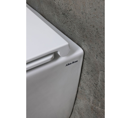 Чаша подвесного унитаза Allen Brau Liberty 4.33012.20 белый