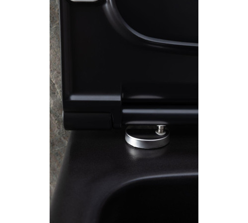 Чаша подвесного унитаза Allen Brau Priority 4.31002.31 черный матовый