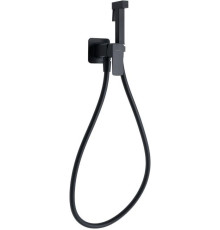 Смеситель с гигиеническим душем Allen Brau Infinity 5.21005-31 (с внутренней частью) черный матовый