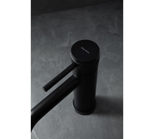 Смеситель для раковины Allen Brau Priority 5.31A01-31 черный матовый