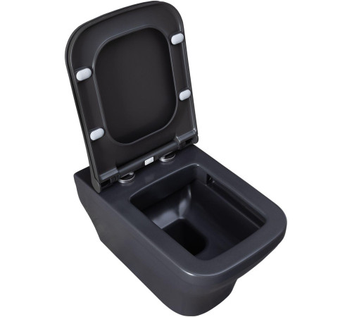 Чаша подвесного унитаза Allen Brau Infinity 4.21011.AN антрацит