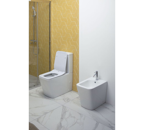 Чаша напольного унитаза Aquanet Rimless Tavr-C1 BL-103N-TPT