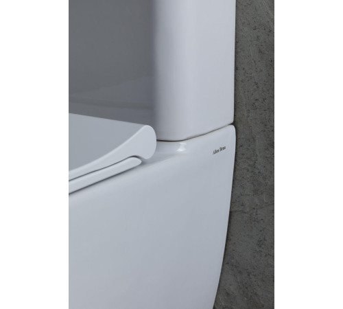 Чаша напольного унитаза Allen Brau Priority 4.31003.20 белый