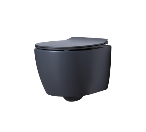 Крышка-сиденье для унитаза Allen Brau Fantasy Smartfix, Soft-Close 4.11005.AN антрацит