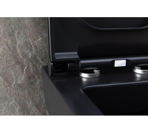 Чаша подвесного унитаза Allen Brau Infinity 4.21011.31 черный матовый