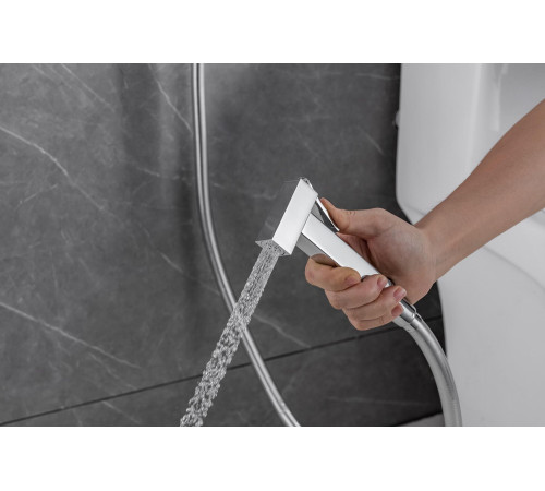 Смеситель с гигиеническим душем Allen Brau Infinity 5.21005-00 (с внутренней частью) хром