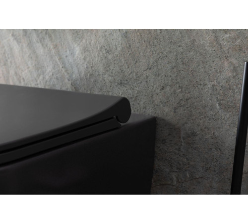 Чаша подвесного унитаза Allen Brau Priority 4.31001.AN антрацит