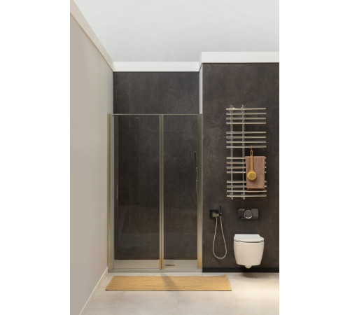 Душевая дверь Allen Brau Priority 140 3.31011.BA серебро браш