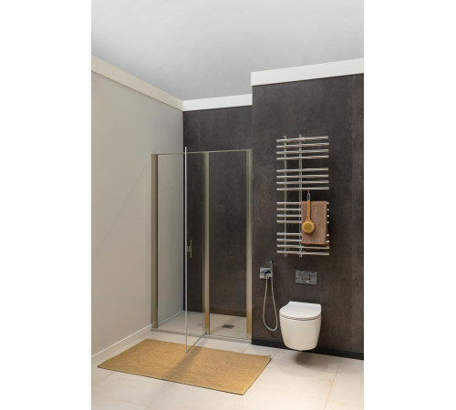 Душевая дверь Allen Brau Priority 90 3.31002.BA серебро браш