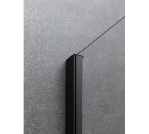 Душевой уголок Allen Brau Priority 140x100 3.31036.BBA + 3.31048.BBA черный браш