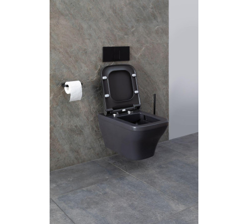 Чаша подвесного унитаза Allen Brau Infinity 4.21011.AN антрацит