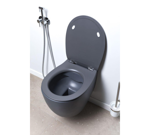 Чаша подвесного унитаза Allen Brau Fantasy 4.11004.AN антрацит