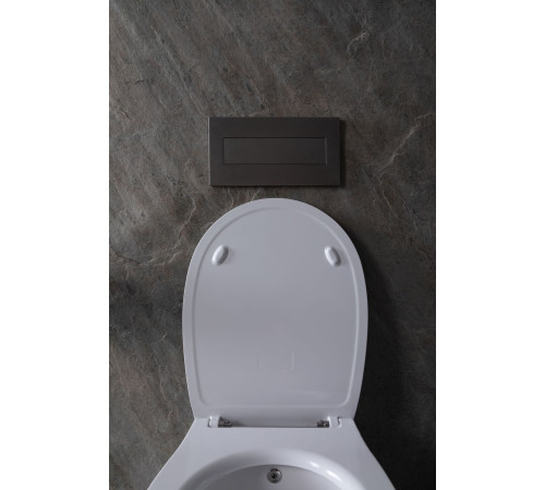 Чаша подвесного унитаза Allen Brau Fantasy 4.11HC1.20 белый глянец