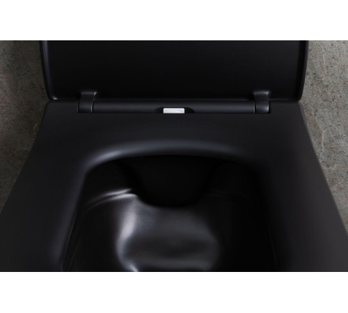 Чаша подвесного унитаза Allen Brau Liberty 4.33007.31 черный матовый