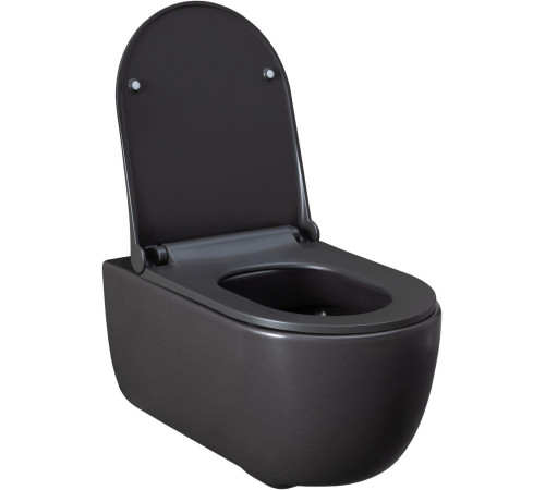 Чаша подвесного унитаза Allen Brau Priority 4.31001.AN антрацит
