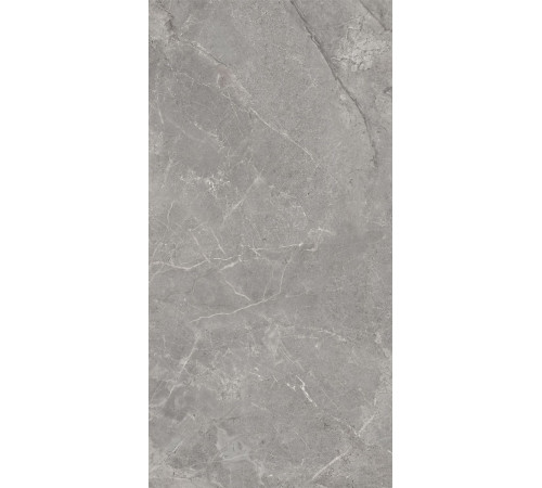 GT120608401MCR Керамогранит Magic серый карвинг матовый 60x120