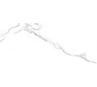 10100001333 Плитка настенная Anima белая 01 матовая 25x60