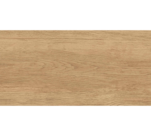 GT220VG Керамогранит Florida бежевый матовый 30x60