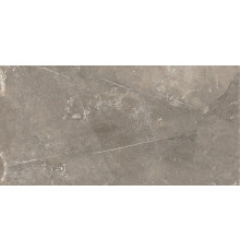 GT122VG Плитка настенная Siluet коричневая глянцевая 25x50