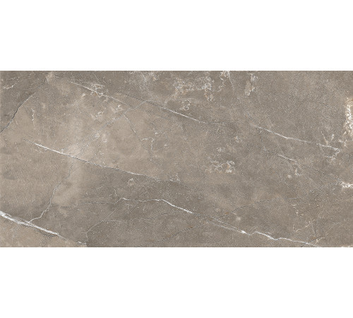 GT122VG Плитка настенная Siluet коричневая глянцевая 25x50