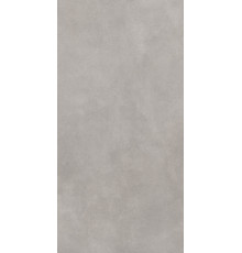 GT1206017701MR Керамогранит Cassini серый матовый 60x120
