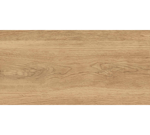 GT220VG Керамогранит Florida бежевый матовый 30x60