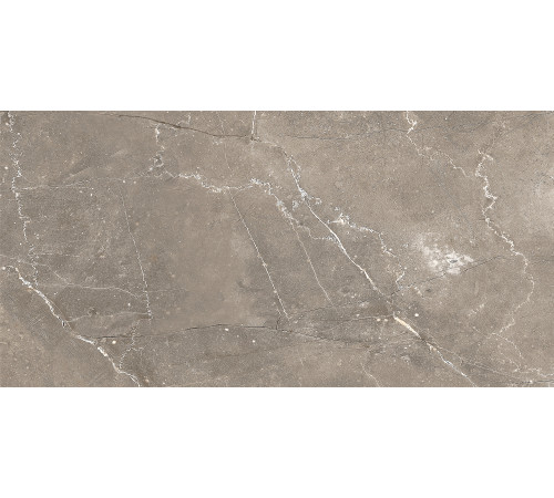 GT122VG Плитка настенная Siluet коричневая глянцевая 25x50