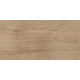 6260-0211 Керамогранит Nostrum бежевый матовый 30x60