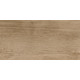6260-0211 Керамогранит Nostrum бежевый матовый 30x60