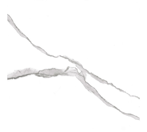 GT60601503PR Керамогранит Anima белый полированный 60x60