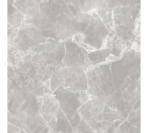 GT60601301MR-3 Керамогранит Solo серый матовый 60x60