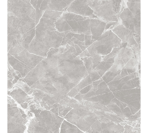 GT60601301MR-3 Керамогранит Solo серый матовый 60x60