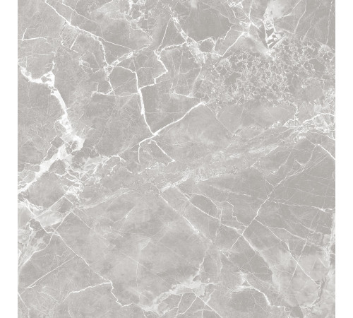 GT60601301MR-3 Керамогранит Solo серый матовый 60x60