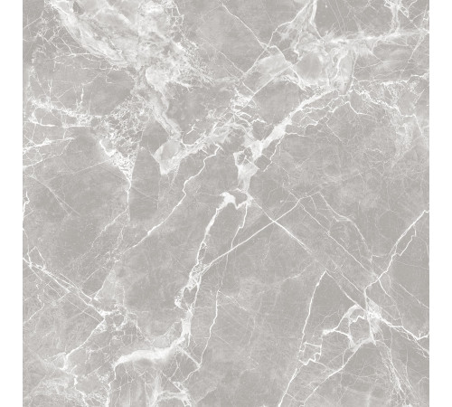 GT60601301MR-3 Керамогранит Solo серый матовый 60x60