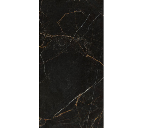 GT1206011405HPR Керамогранит Olimpia черный полированный 60x120