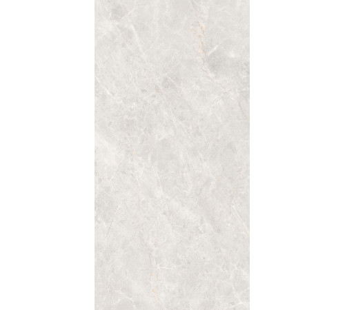 GT1206019606MDGR Керамогранит Anatolia светло-серый матовый 60x120