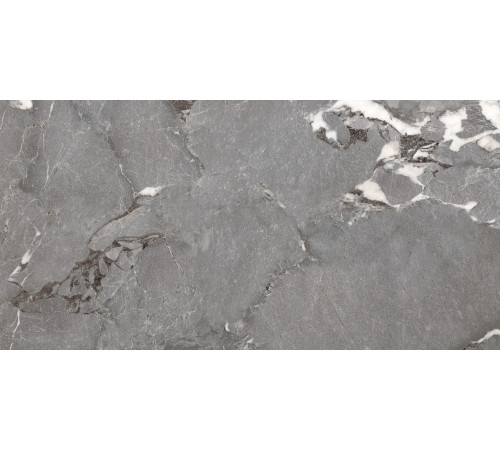 PGT1206010201SGR Керамогранит Pegasus серый матовый 60x120