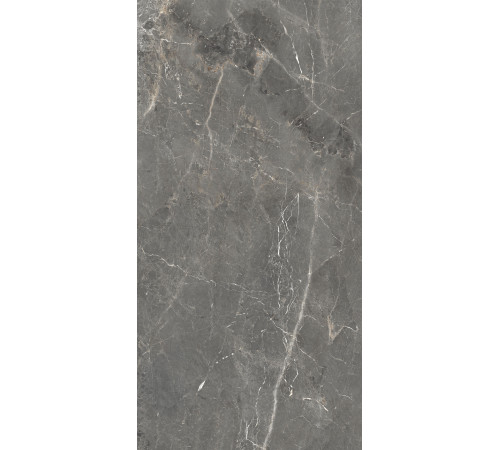 GT1206012109SPR Керамогранит Tulip темно-серый лаппатированный 60x120