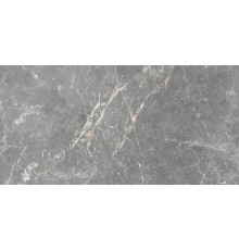 GT99VG Плитка настенная Capella серая глянцевая 25x50