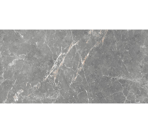 GT99VG Плитка настенная Capella серая глянцевая 25x50