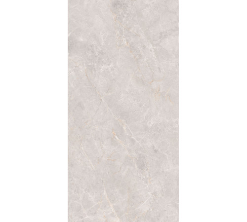 GT1206018106MCR Керамогранит Montera светло-серый матовый 60x120