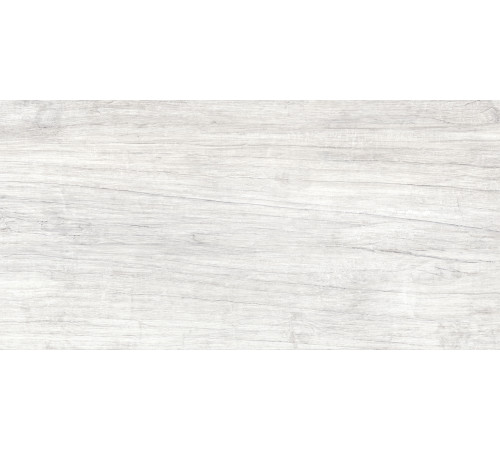 GT223VG Керамогранит Storm светло-серый матовый 30x60