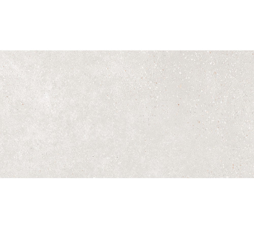 GT182VG Керамогранит Coral Rock светло-серый матовый 30x60