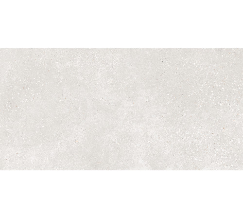 GT182VG Керамогранит Coral Rock светло-серый матовый 30x60