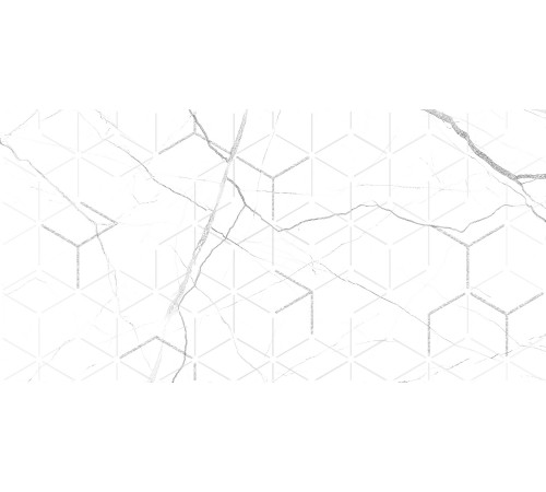 GT124VG Декор Siluet белый  глянцевая 25x50