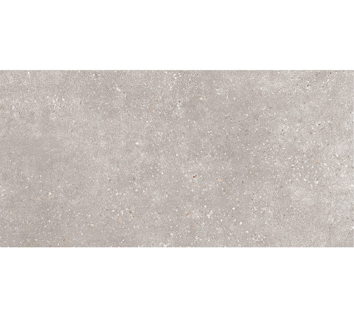 GT183VG Керамогранит Coral Rock серый матовый 30x60