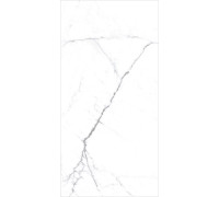 PGT120609403MGR Керамогранит Olivia белый матовый 60x120