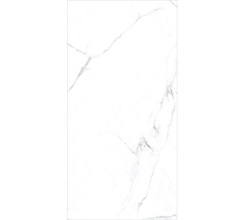 PGT120609403MGR Керамогранит Olivia белый матовый 60x120
