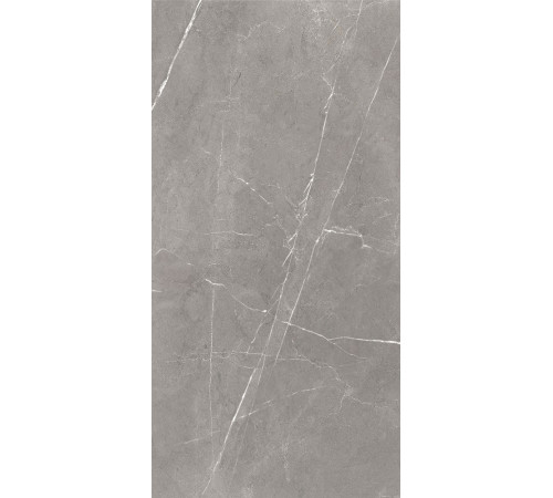 GT120603001MCR Керамогранит Encanto серый карвинг матовый 60x120