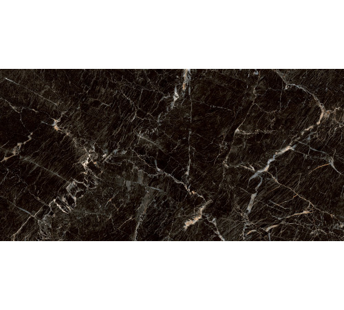 PGT1206010105MGR Керамогранит Zebrano черный матовый 60x120